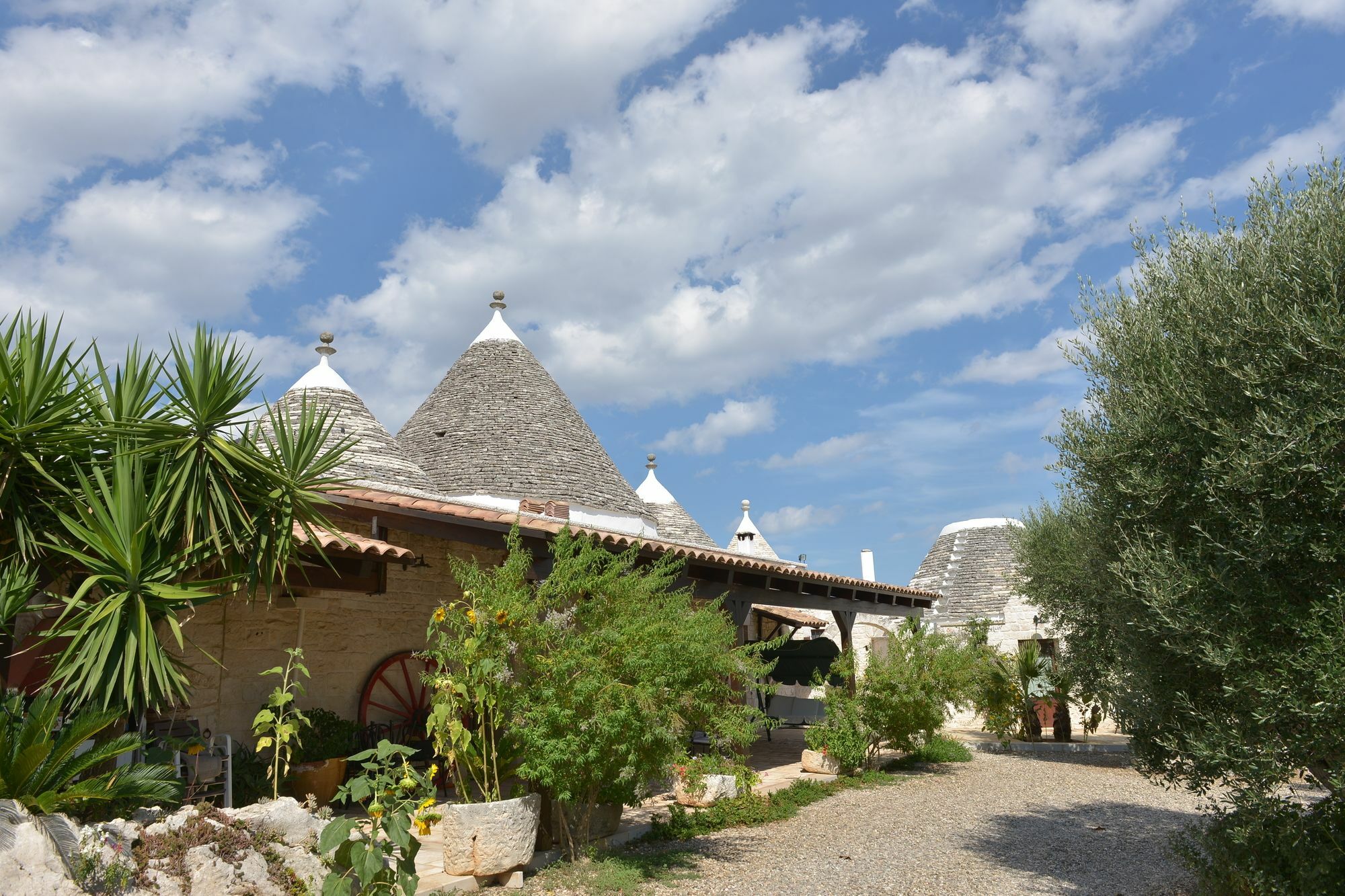 Masseria Pentima Vetrana Resort Alberobello Kültér fotó