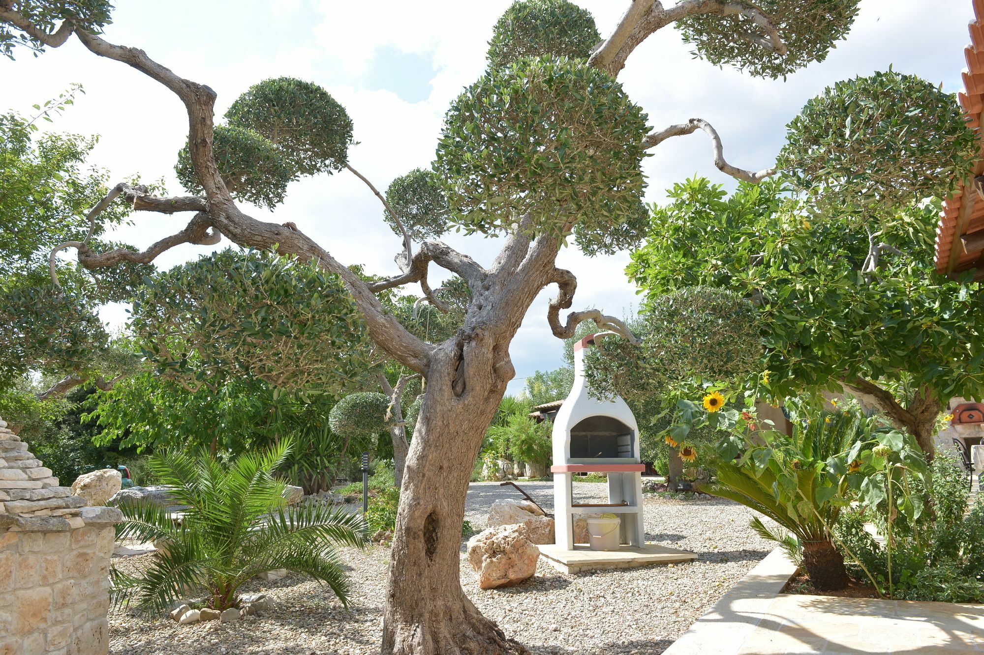 Masseria Pentima Vetrana Resort Alberobello Kültér fotó